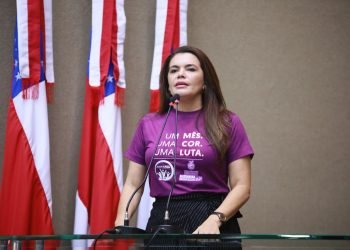 Nos 17 anos da Lei Maria da Penha, Assembleia Legislativa do Amazonas destaca importância da lei