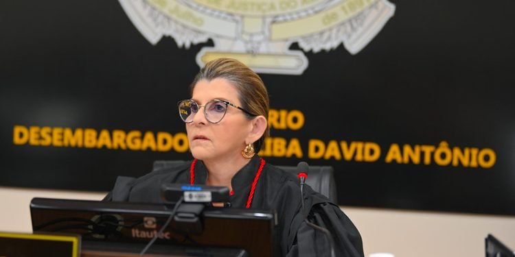 Desembargadores do TJAM passam a usar recurso de autodescrição