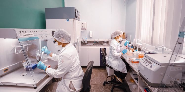 Fapeam divulga resultado de editais para apoiar projetos coordenados por mulheres cientistas