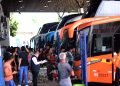 Mais de 77 mil pessoas utilizaram o transporte rodoviário intermunicipal regulado pela Arsepam, em agosto