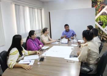 Governo do Amazonas cria gabinete do setor primário para diminuir impactos da estiagem