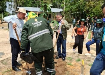 Ipaam e Semmas plantam mudas nativas em área verde voltada para o lazer da população