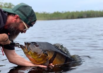 Faturamento do Turismo alcança R$ 420 milhões no Amazonas, informa Governo do Estado