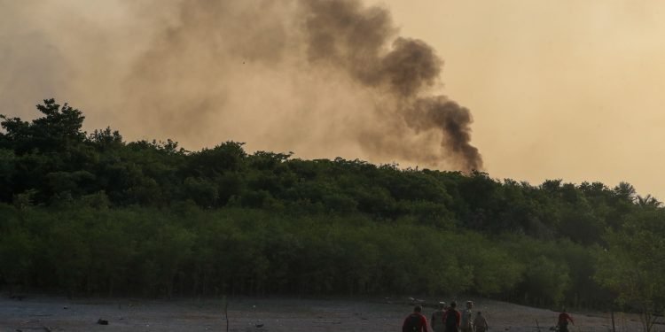 Em Iranduba, Corpo de Bombeiros monta força-tarefa para combater incêndio em área de mata