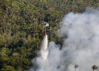 Amazonas fecha mês de setembro com redução de 20,3% dos focos de calor
