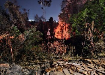 PMAM prende mais de 50 pessoas por invasão de terra e crimes ambientais no Distrito Industrial