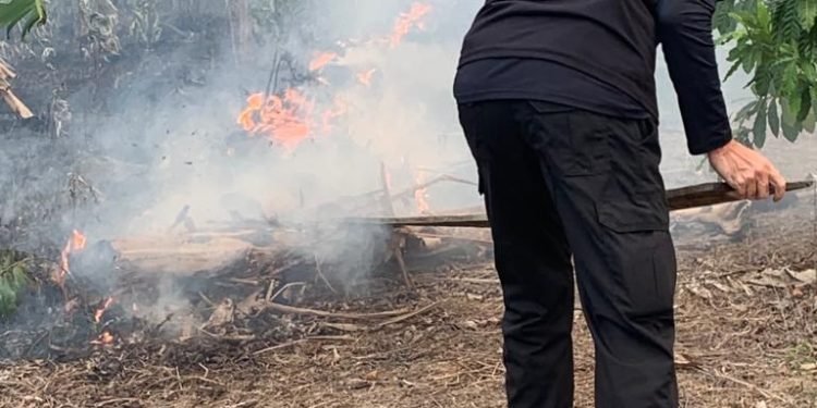 Polícia Civil do Amazonas atua em força-tarefa contra queimadas em Autazes