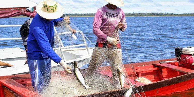 Governo do Amazonas divulga datas do pagamento de Auxílio Emergencial Pescador Artesanal