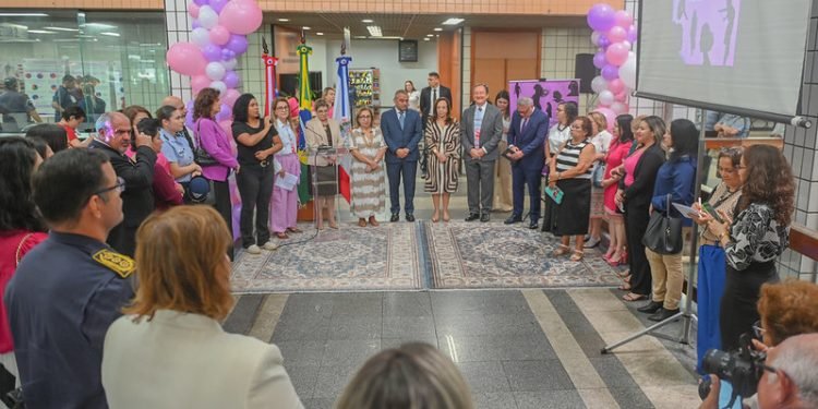 TJAM abre atividades de mutirão que envolve 1.230 audiências em processos sobre violência doméstica contra a mulher