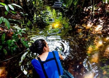 Dia da Água: pesquisas apoiadas pelo Governo do Amazonas analisam qualidade da água e de ambientes aquáticos