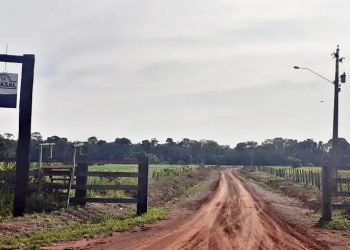 A pedido da DPE-AM, Justiça suspende reintegração de posse da Fazenda Palotina, em Lábrea 