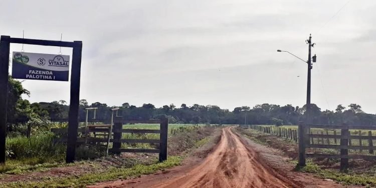 A pedido da DPE-AM, Justiça suspende reintegração de posse da Fazenda Palotina, em Lábrea