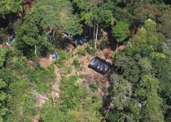 Forças Armadas e agências federais destroem helicóptero e detêm piloto em operação contra garimpo ilegal na terra indígena Yanomami