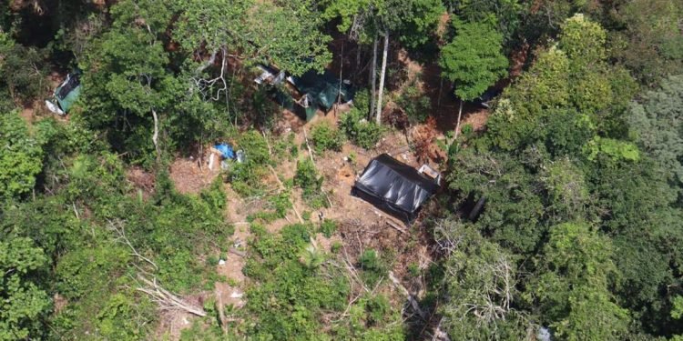 Forças Armadas e agências federais destroem helicóptero e detêm piloto em operação contra garimpo ilegal na terra indígena Yanomami