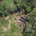 Forças Armadas e agências federais destroem helicóptero e detêm piloto em operação contra garimpo ilegal na terra indígena Yanomami