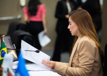 Iniciativa de Débora Menezes, Plano Estadual de Combate à Pedofilia é aprovado na Aleam