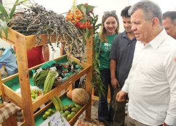 Ações para atração de novos investimentos na ZFM são intensificadas pela Suframa