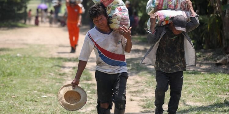Governo do Amazonas envia 1,9 mil toneladas de alimentos aos 62 municípios castigados pela estiagem severa