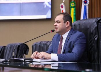 Uso de biogás e de biometano ganha incentivo a partir de Lei de autoria do deputado estadual Roberto Cidade