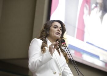 Casos de abuso sexual contra crianças são temas dos discursos dos deputados durante Sessão Plenária na Aleam