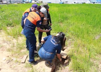 Defesa Civil inspeciona áreas de risco em seis municípios do Amazonas