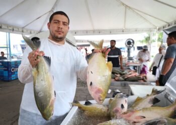Governo do Amazonas promove edição especial do Feirão do Pescado e Feira de produtos regionais