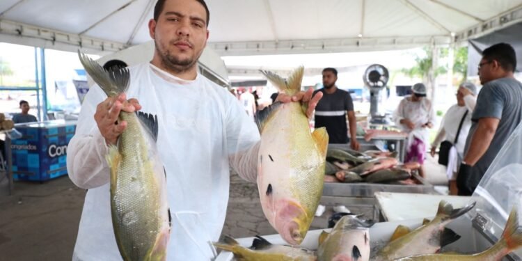 Governo do Amazonas promove edição especial do Feirão do Pescado e Feira de produtos regionais