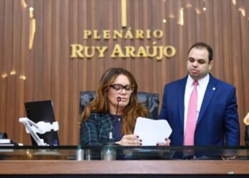 Alessandra Campelo destaca aprovação de Projetosde Lei que aumentam proteção à mulher no Amazonas