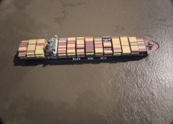 Matéria-prima para a ZFM: Amazonas bate recorde histórico de importações em 2024