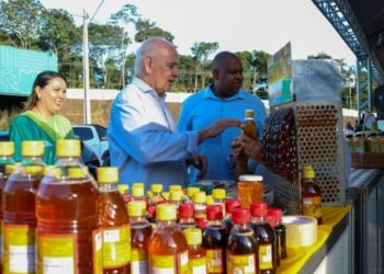 Governo do Amazonas sanciona lei que fortalece a bioeconomia e impulsiona o desenvolvimento sustentável