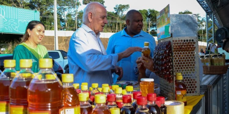 Governo do Amazonas sanciona lei que fortalece a bioeconomia e impulsiona o desenvolvimento sustentável