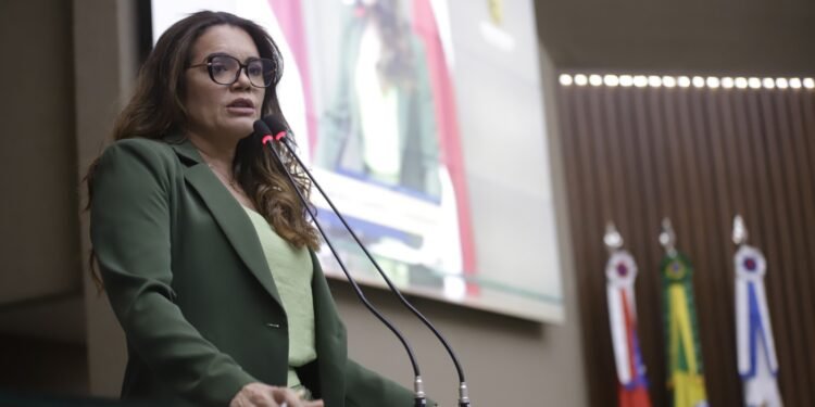 Deputados estaduais discutem violência contramulheres e crianças, segurança pública e novos investimentos no Amazonas